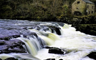 Cenarth Falls – Wales