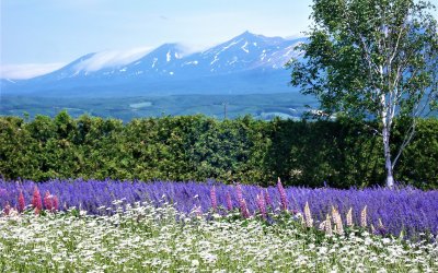 Scenic Hokkaido – Japan’s North Island