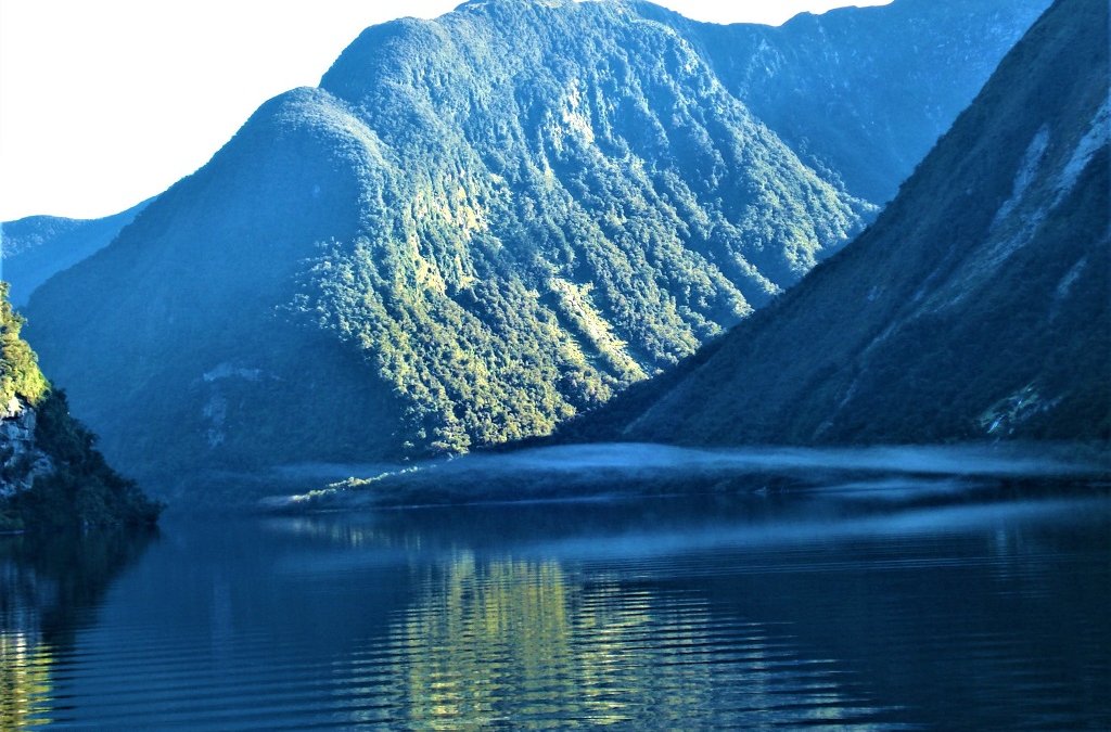 Doubtful sounds fiordland, New Zealand