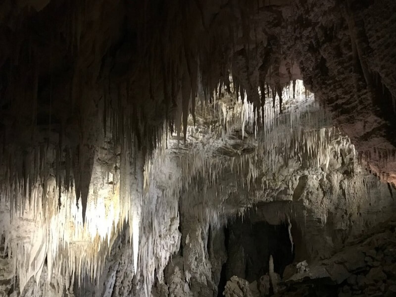 Waitomo Caves - Stalactites and Stalagmites