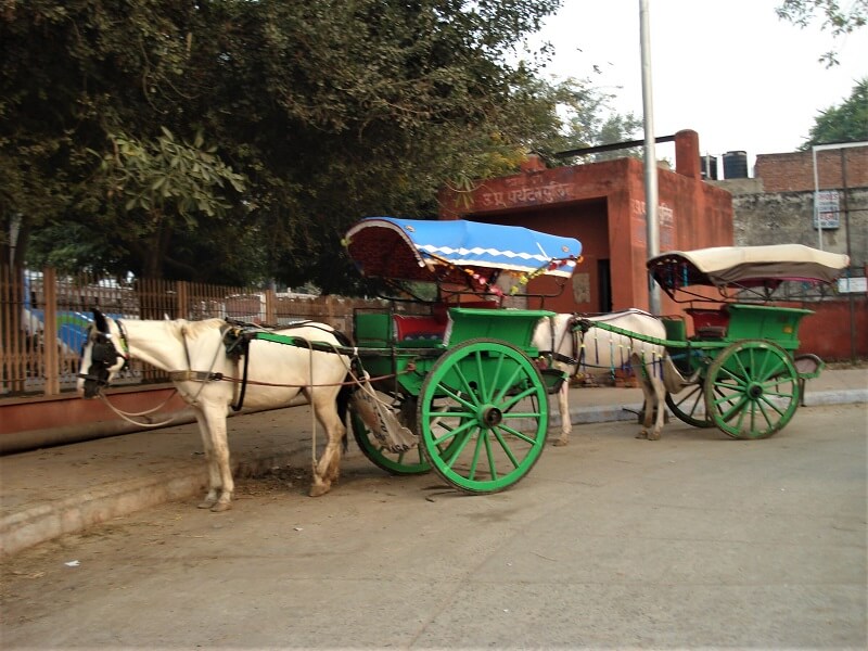 Horse carriages in Agra