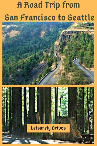Redwood Trees and Rowena Crest, USA
