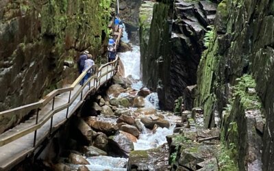 A Fun Hike to Flume Gorge – New Hampshire