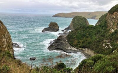 The Spectacular Southern Scenic Route – New Zealand