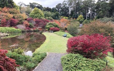 Pleasant Days in Burnie – Tasmania