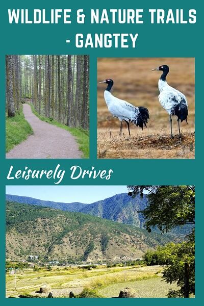 Gangtey Bhutan images