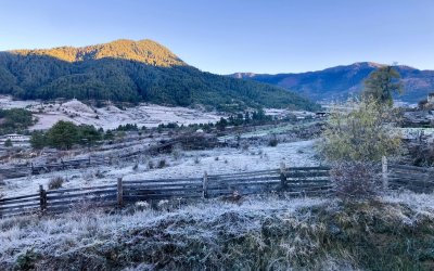 Wildlife & Nature Trails in Gangtey Valley