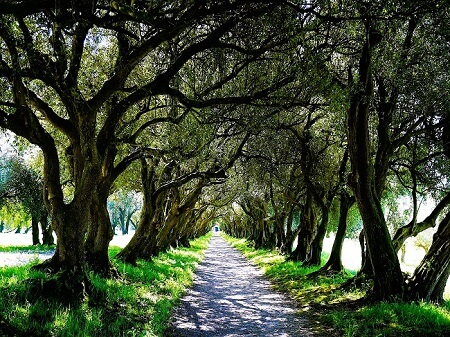 Rural Spain thumbnail